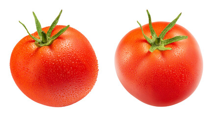 tomato with water drops isolated on white. the entire image in sharpness.