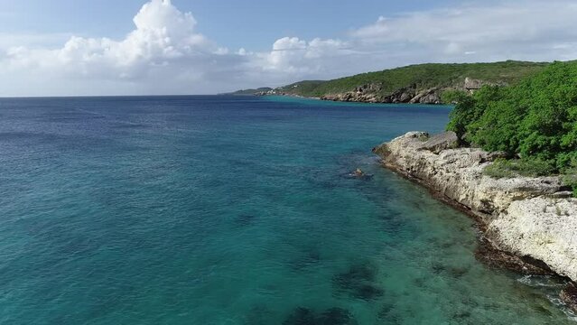 drone flying over coast line with cacti and plants with clear ocean water caribbean