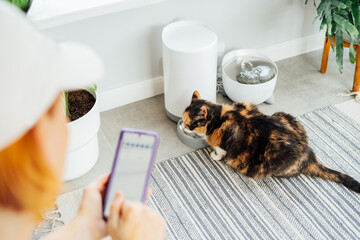 Cat eating from smart feeder in cozy home interior with woman holding smartphone and using application to control cat food dispenser on background. Home life with a pet. Healthy pet food diet.