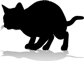 Silhouette Cat Pet Animal
