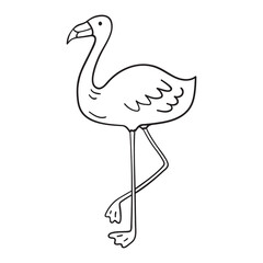 Isolated vector illustration of flamingo bird. Cute thin line icon for design, cover etc.
