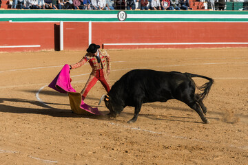 Fearless bullfighter and furious bull on sandy arena