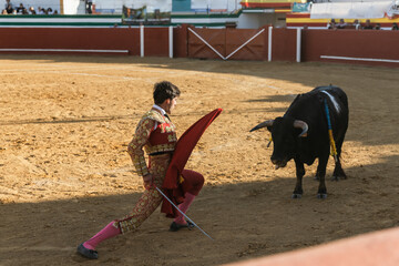 Young matador taunting black bull