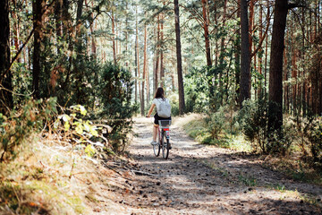Bicycle Tourism. Road Biking Trails. Bicycles for rent. Single woman riding bike in pine forest in sunny day