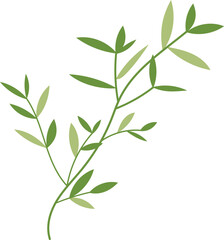 Fototapeta premium Organic Bamboo Leaves Trees Illustration