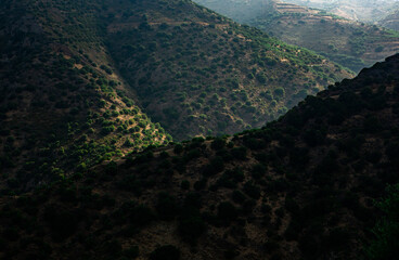 Beautiful landscape photo from the island of Crete, Greece. Summer nature from Crete. 
Chill...
