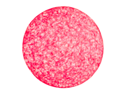 Salami sausage slice isolated transparent png