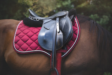 Horseback riding saddle and horse equipment on a dark background. Saddle pad, stirrups, stirrup leathers - obrazy, fototapety, plakaty