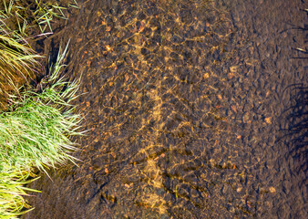 a river with a muddy bottom with green grass along the banks with a fast flow on a sunny day