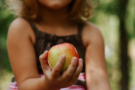 The child is holding an apple. Healthy organic food. Childhood moments. Copy space