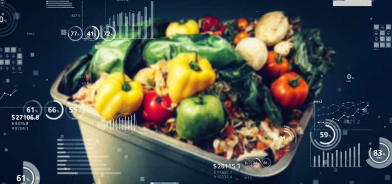 食品とデータイメージ　食品ロス　栄養学