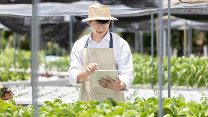 Obraz premium Young owner of organic vegetable garden business uses a tablet to control and direct the supply of water and nutrients or to record the growth of vegetables in the garden, Vegetables in the greenhouse