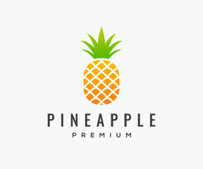 Tropical Pineapple Logo Design Template