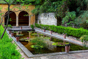 Moorish garden with a Pool with water lily in the France. Jardin Serre de la Madone, with rare plantings. Summer. Menton,