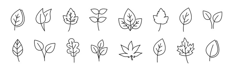 Leaf vector icon set. Leaves line sign collection. Foliage linear icon