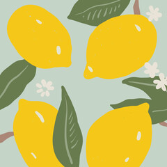 Vector Illustration Of Lemons Pattern - 530017623