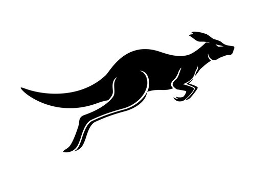 Jumping Kangaroo Icon Isolated On White Background.