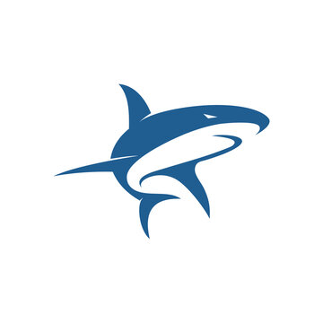 blue shark illustration