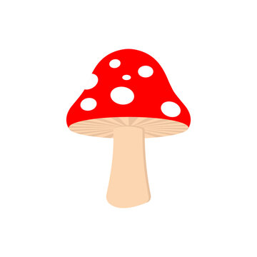 Vector illustration of a simple mushroom. Red fly agaric mushroom