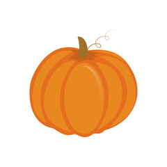 Fresh pumpkin on a white background. Harvesting for the winter. Autumn harvest