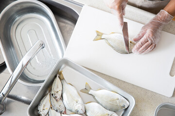 キッチンで魚を料理する日本人の主婦の手元、釣魚のヘダイを料理する