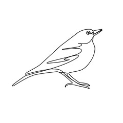 Vector illustration of bird in line art style