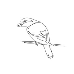 Vector illustration of bird in line art style
