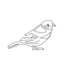 Vector illustration of bird in line art style