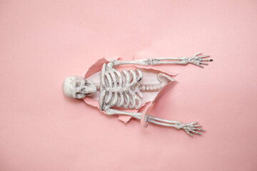 soft pink torn paper,hole break background, minimalistic abstract Halloween concept