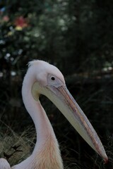 Esta foto fue tomada en Londres en una mñana del 30 de Agosto del 2022.
