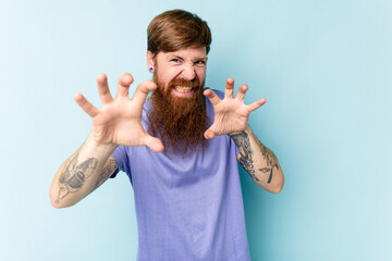 Young caucasian red-haired man isolated on blue background upset screaming with tense hands.