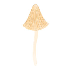Tall Cream Mushroom Transparent Background