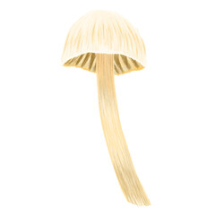 Tall Cream Mushroom Transparent Background