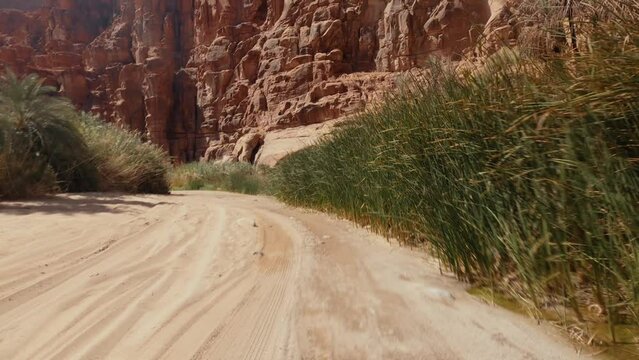 Offroad Drive Through Wadi Disah, Tabuk Region, Saudi Arabia