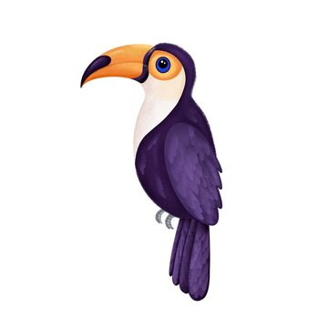 Cute toucan tropical bird illustration for advertising, children book, postcards, posters and more.