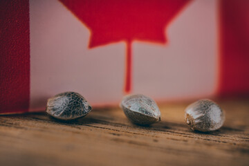 Cannabis seeds, oil with flag of Canada.