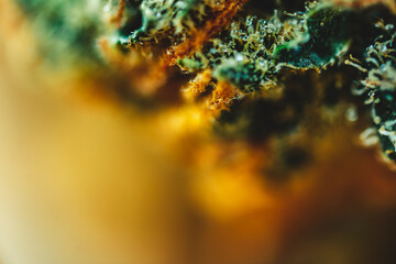 MAcro view of Cannabis flower, close up of trichomes and pistils.