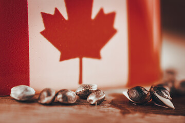 Cannabis seeds with flag of Canada.