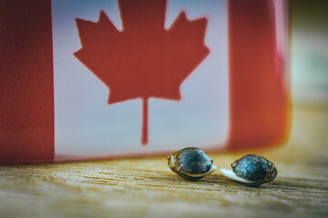 Cannabis seeds with flag of Canada.