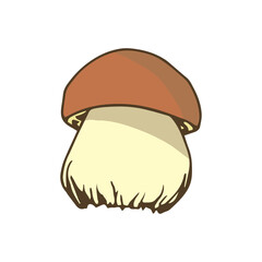 Simple color vector illustration. White mushroom, boletus isolated on white background. Forest plants, autumn-summer season.
