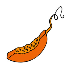 Cute autumn vector illustration, hand drawn pumpkins