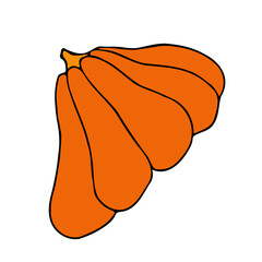 Cute autumn vector illustration, hand drawn pumpkins