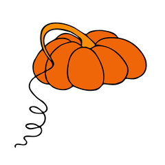 Cute autumn vector illustration, hand drawn pumpkins