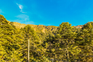 Landscape View Of Yushan Mountains On The Trail To Mt. Jade Front Peak, Yushan National  Park,...