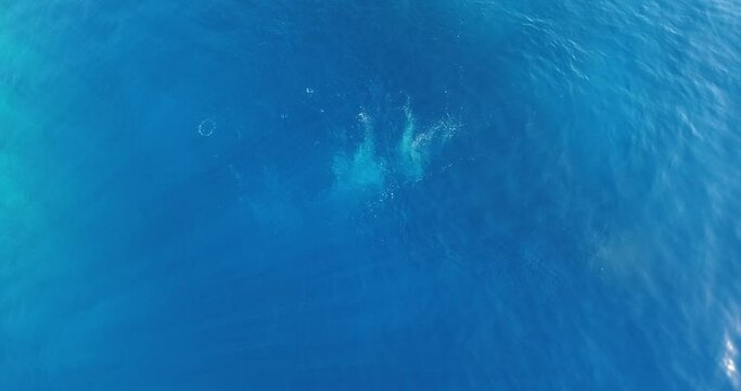 Divers air bubbles reaching water surface and light rays in aerial top view video.