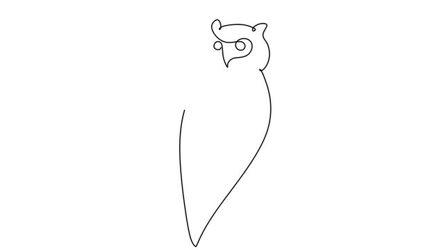 Full HD Video of a Perching Owl Bird Continuous one line drawing. simple hand drawn style design animal.