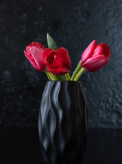 Three pink tulips in black vase on dark background