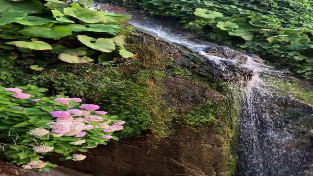 water flowing into the garden