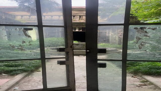 Garden in the abandoned old building