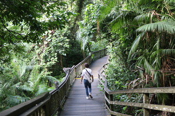 Man walking on wooden platform in lush tropical forest on the island of Bali, Indonesia